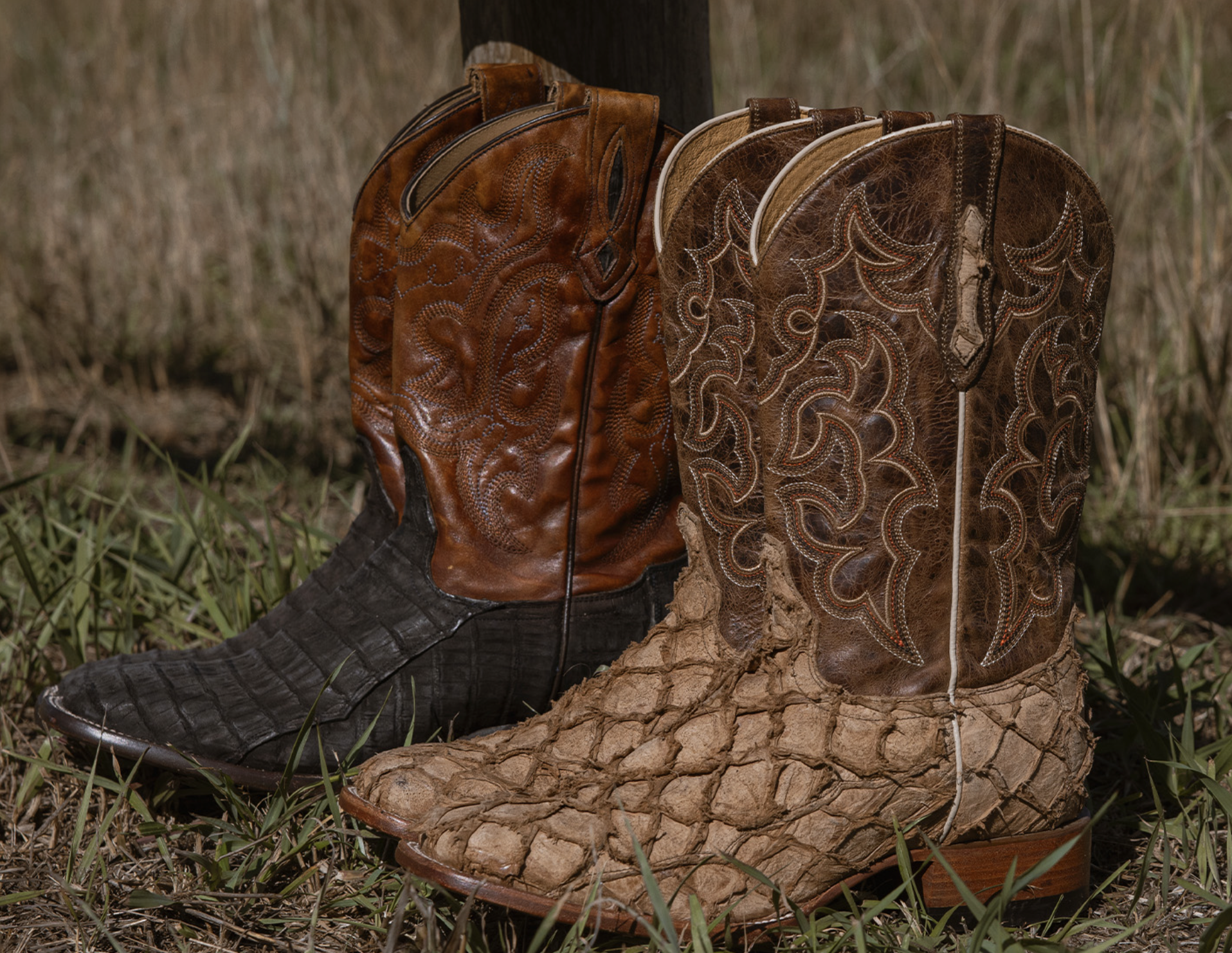 bottes cowboy extra larges